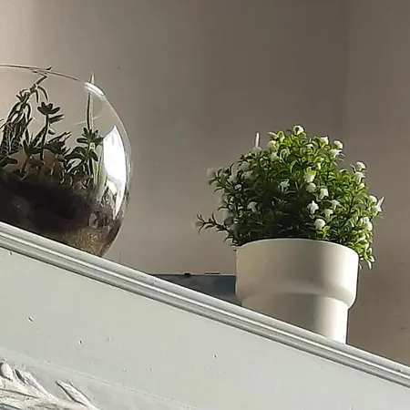 Apartamento Airunnes Atico Duplex Zahara Primera Linea Zahara de los Atunes